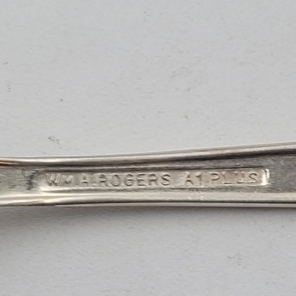 Wm. A. Rogers piece set